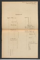 k.k. naturhistorisches Hofmuseum, Intendanzakten 1876-1884 (Hochstetter), Aktenzahl Z.4.g/1876, Seite 11